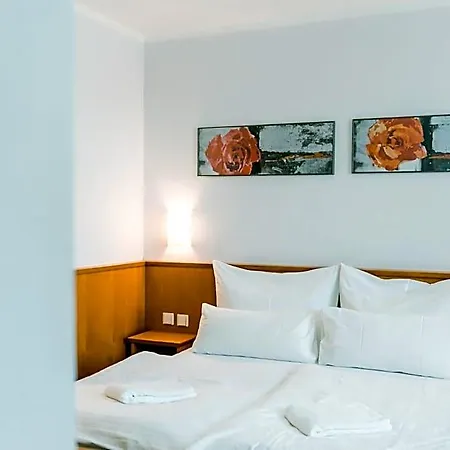 Hotel Prachárna Park 4*